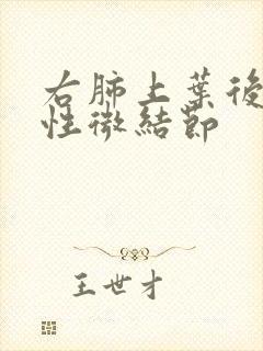 右肺上叶后段实性微结节