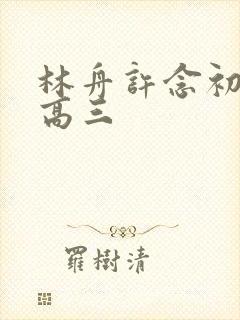 林舟许念初重回高三封面