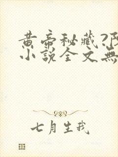 黄帝秘藏?陈启小说全文无删减封面