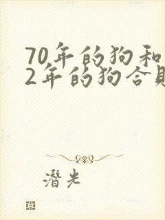 70年的狗和82年的狗合财吗