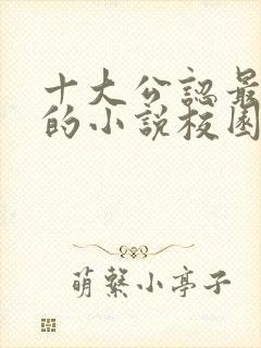 十大公认最好看的小说校园封面