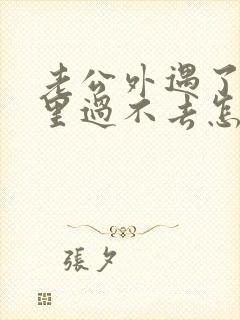 老公外遇了我心里过不去怎么办封面