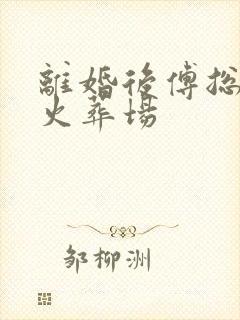 离婚后傅总追妻火葬场