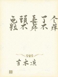 龟头长了个小肉粒不疼不痒