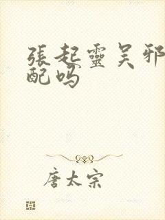 张起灵吴邪是官配吗