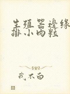 生殖器边缘有一排小肉粒