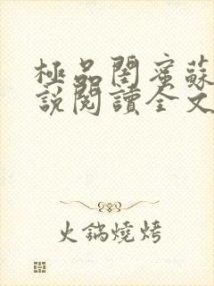 极品闺蜜苏姨小说阅读全文