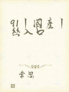 91丨国产丨白丝入口