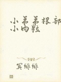 小弟弟根部有个小肉粒