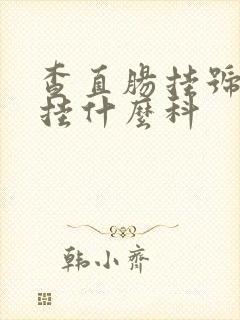 查直肠挂号应该挂什么科