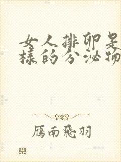 女人排卵是什么样的分泌物