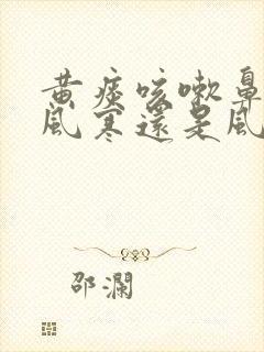 黄痰咳嗽鼻塞是风寒还是风热