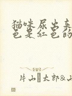 猫咪尿出来的颜色是红色的怎么办