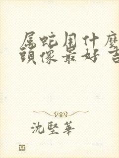 属蛇用什么微信头像最好 吉利