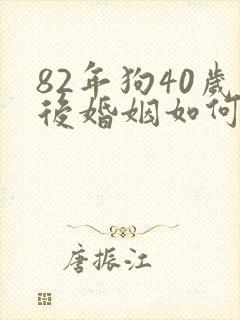 82年狗40岁后婚姻如何封面