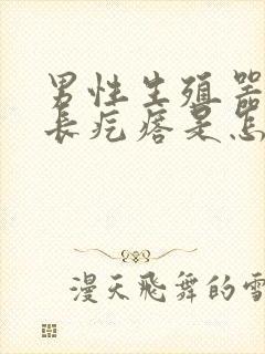 男性生殖器边缘长疙瘩是怎么回事