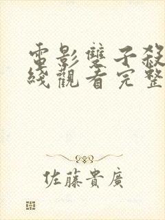 电影双子杀手在线观看完整版封面