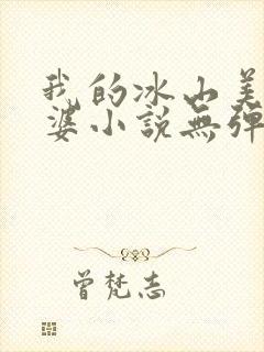 我的冰山美女老婆小说无弹窗