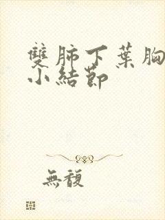 双肺下叶胸膜下小结节