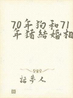 70年狗和71年猪结婚相配吗封面