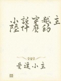 小说穿越主角叫陆什么的