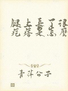 腿上长了很多小疙瘩是怎么回事