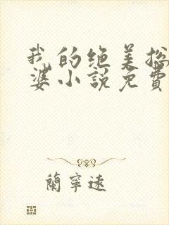 我的绝美总裁老婆小说免费阅读全文