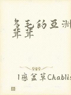 多毛的亚洲人毛茸茸封面