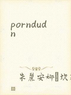 porndudn封面