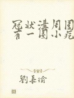 冠状沟周围边缘有一圈小疙瘩