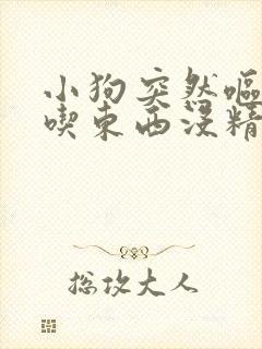 小狗突然呕吐不吃东西没精神怎么办