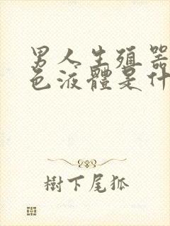 男人生殖器流白色液体是什么原因封面