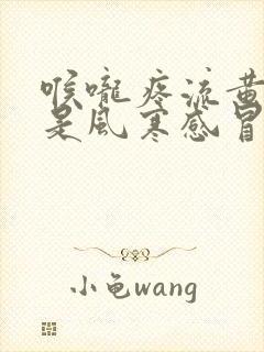 喉咙疼流黄鼻涕是风寒感冒还是风热感冒封面