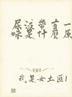 尿液带有一股臭味是什么原因