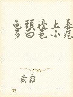 龟头边上长了好多白色小疙瘩封面