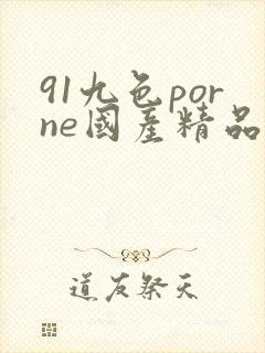 91九色porne国产精品蝌蚪视频封面