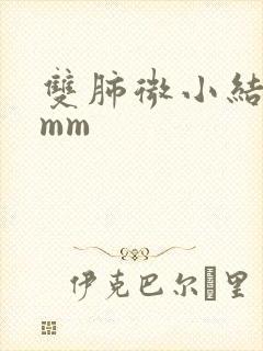 双肺微小结节4mm