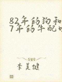 82年的狗和97年的牛配吗