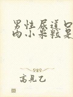 男性尿道口上有肉小米粒是怎么回事