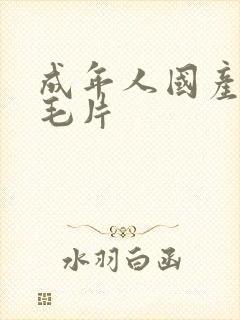 成年人国产精品毛片