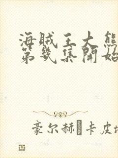 海贼王大熊篇从第几集开始看