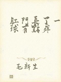 肛门长了一个肉球有点疼