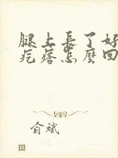 腿上长了好多小疙瘩怎么回事封面