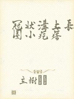 冠状沟上长了一圈小疙瘩