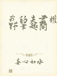 我的夫君权倾朝野笔趣阁