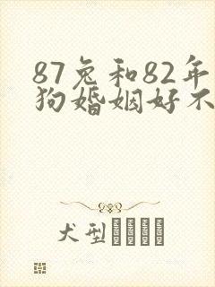 87兔和82年狗婚姻好不好封面