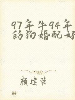 97年牛94年的狗婚配好不好