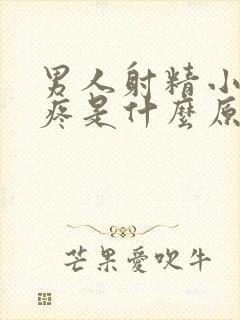 男人射精小肚子疼是什么原因