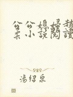 公公媳妇赵刚苏柔小说阅读