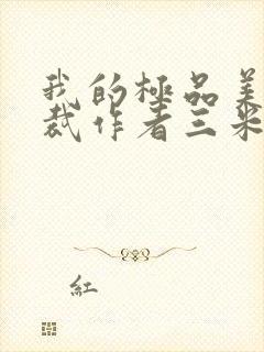 我的极品美女总裁作者三米半封面